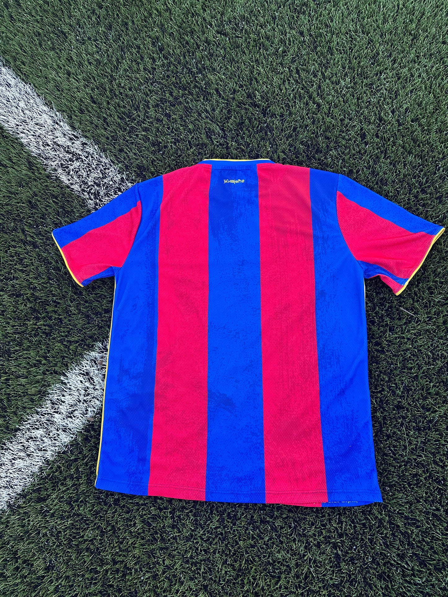 Red and blue striped shirt on a grassy field